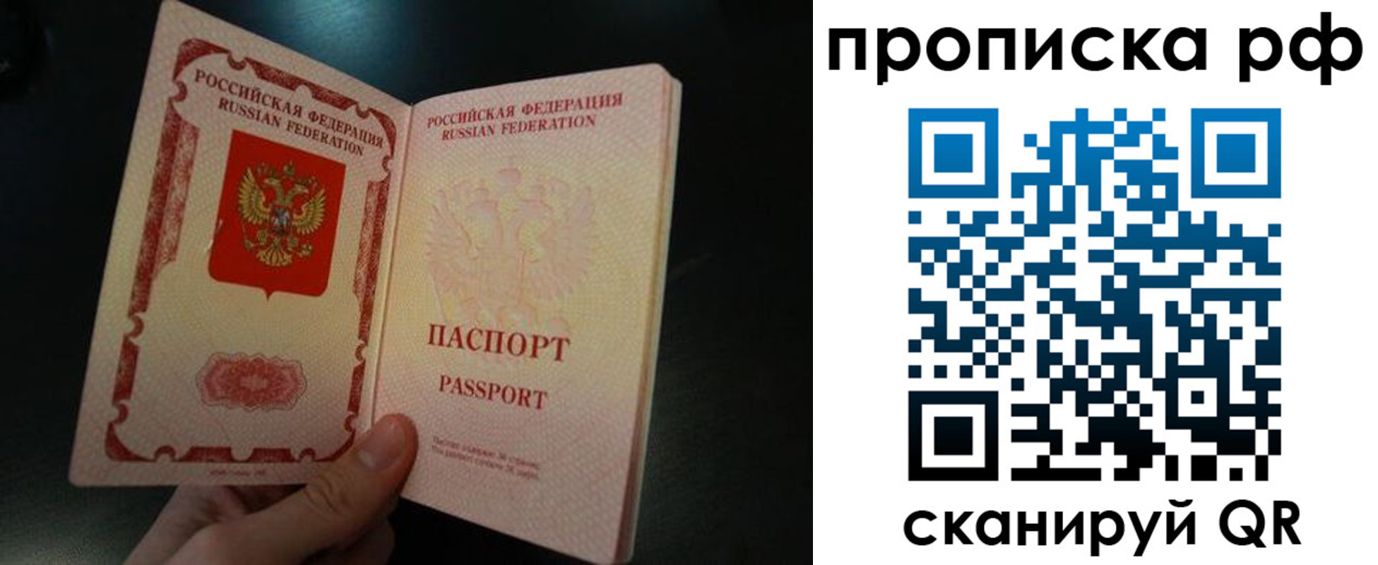 прописка законно в Ельне